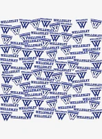 Wellesley College 100ct Sticker Pack
