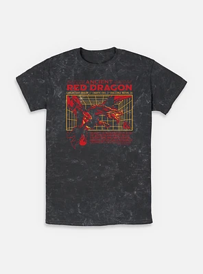 Dungeons & Dragons Ancient Red Dragon Stats Mineral Wash T-Shirt