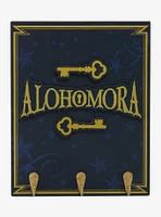 Harry Potter Alohomora Key Hook Wall Hanging
