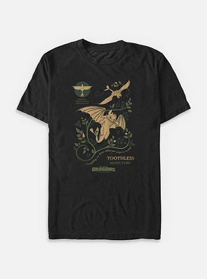 How To Train Your Dragon Everything Is Wrong Big & Tall T-Shirt