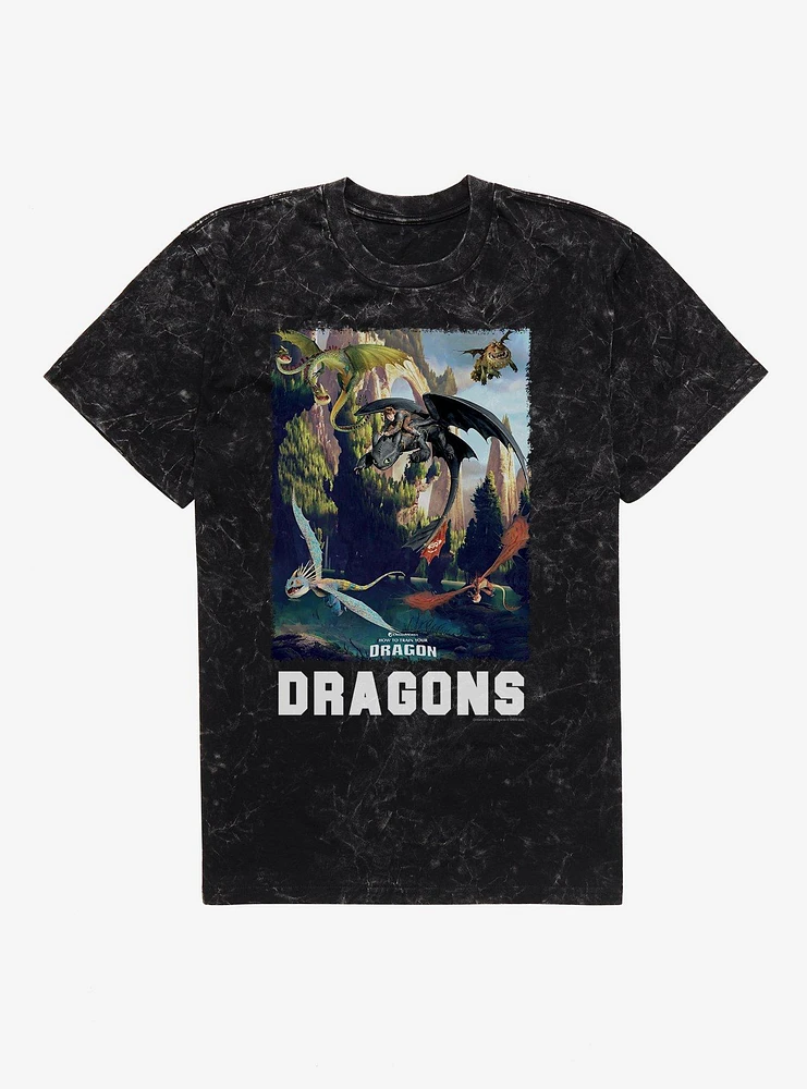 How To Train Your Dragon Dragons Mineral Wash T-Shirt