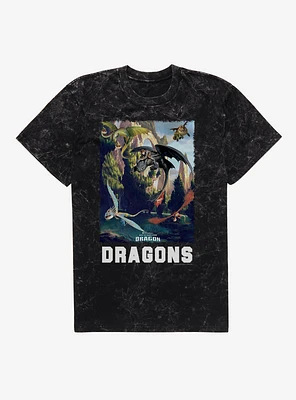 How To Train Your Dragon Dragons Mineral Wash T-Shirt