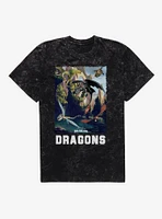 How To Train Your Dragon Dragons Mineral Wash T-Shirt