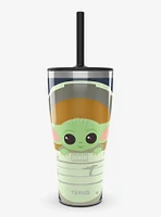 Star Wars The Mandalorian The Child in Carrier Triple Insulated Tumbler Travel Cup