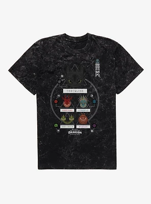 How To Train Your Dragon Chart Mineral Wash T-Shirt