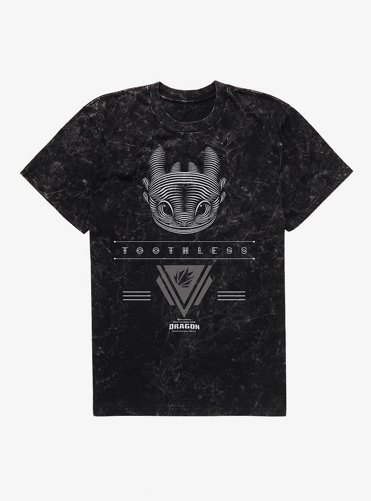 How To Train Your Dragon Toothless Mineral Wash T-Shirt