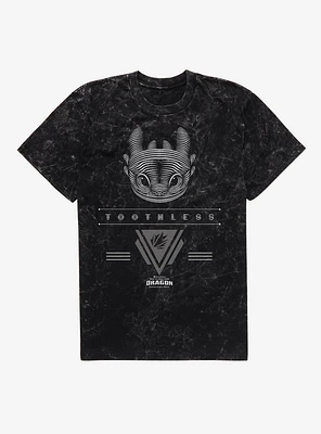 How To Train Your Dragon Toothless Mineral Wash T-Shirt