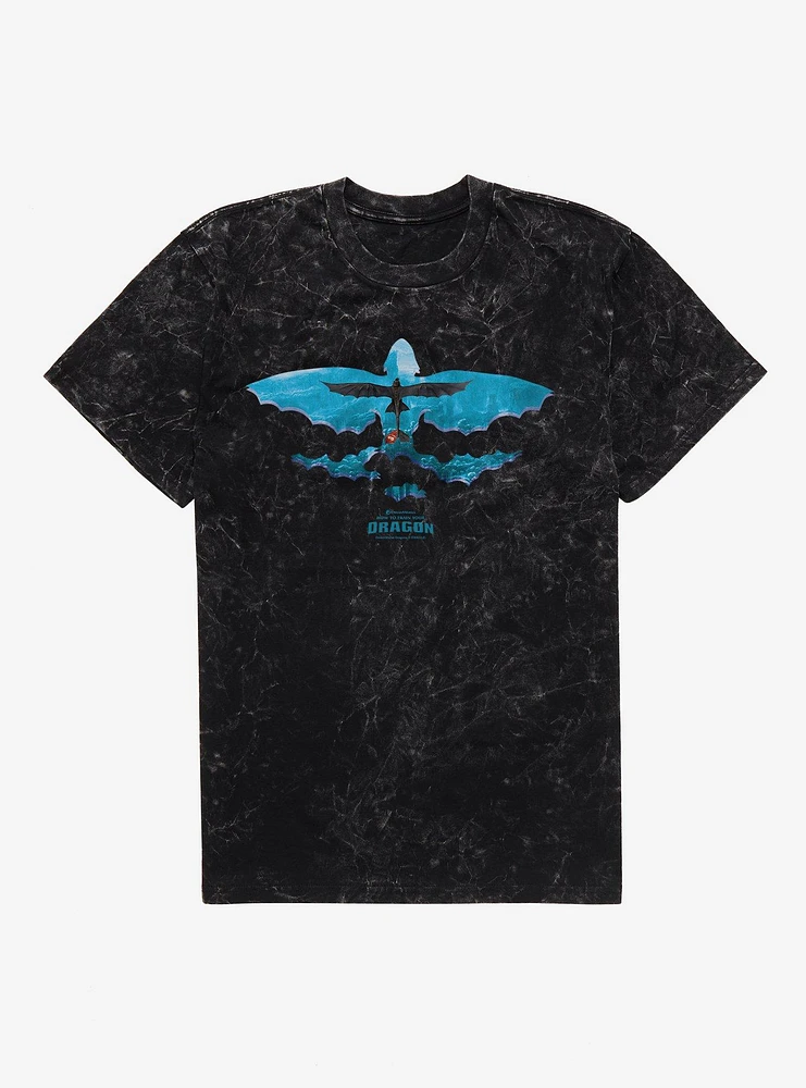 How To Train Your Dragon Toothless Takes Flight Mineral Wash T-Shirt