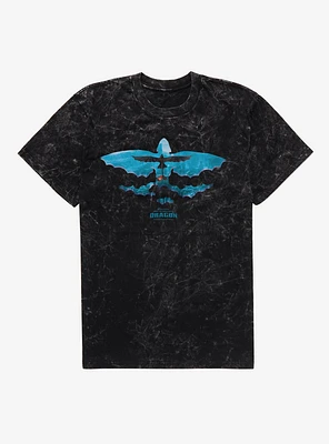 How To Train Your Dragon Toothless Takes Flight Mineral Wash T-Shirt