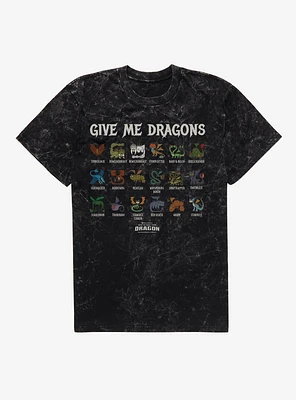 How To Train Your Dragon Give Me Dragons Mineral Wash T-Shirt