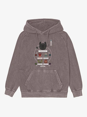 How To Train Your Dragon Chart Mineral Wash Hoodie