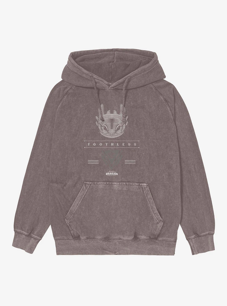 How To Train Your Dragon Toothless Mineral Wash Hoodie