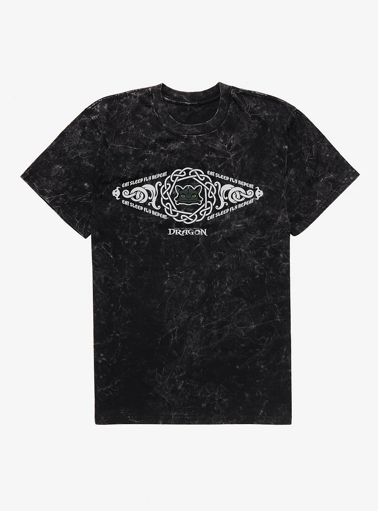 How To Train Your Dragon Eat Sleep Fly Repeat Mineral Wash T-Shirt
