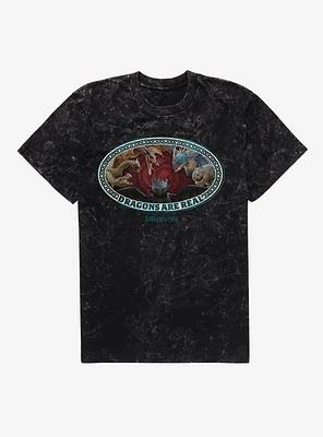 How To Train Your Dragon Dragons Are Real Mineral Wash T-Shirt