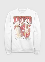 DC Comics Superman Krypto Superman's Best Friend Sweatshirt BoxLunch Web Exclusive