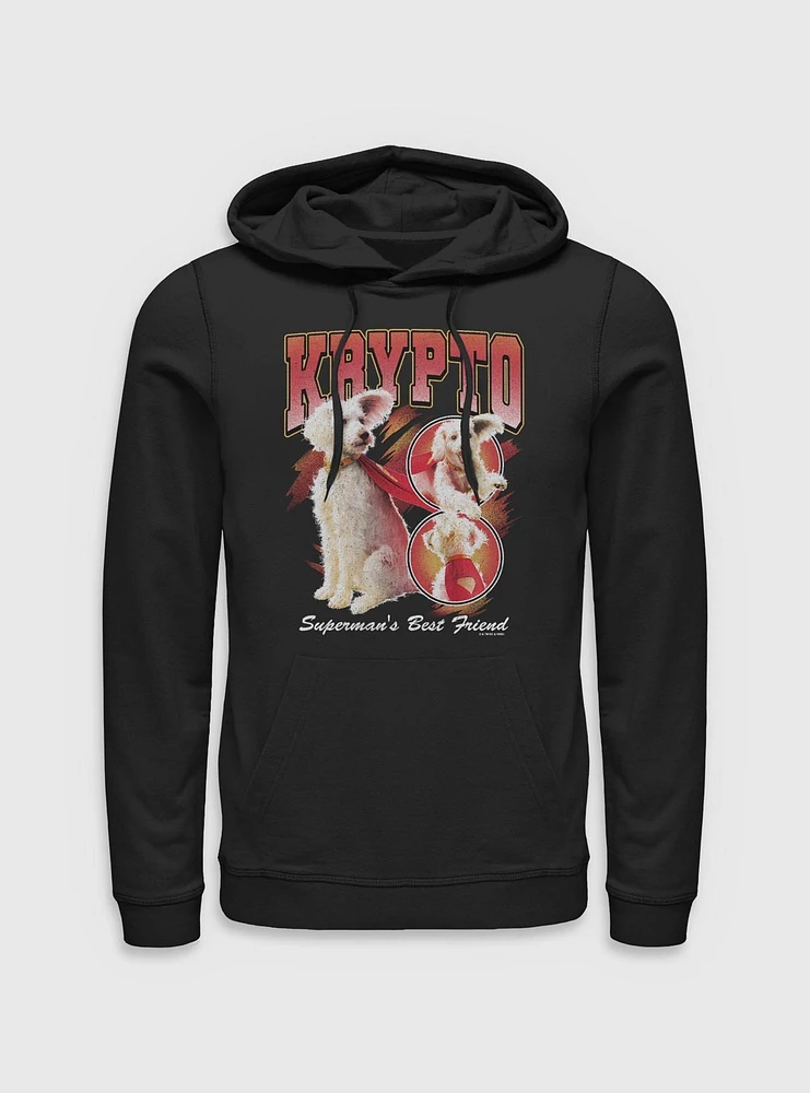 DC Comics Superman Krypto Superman's Best Friend Hoodie BoxLunch Web Exclusive