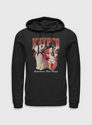DC Comics Superman Krypto Superman's Best Friend Hoodie BoxLunch Web Exclusive