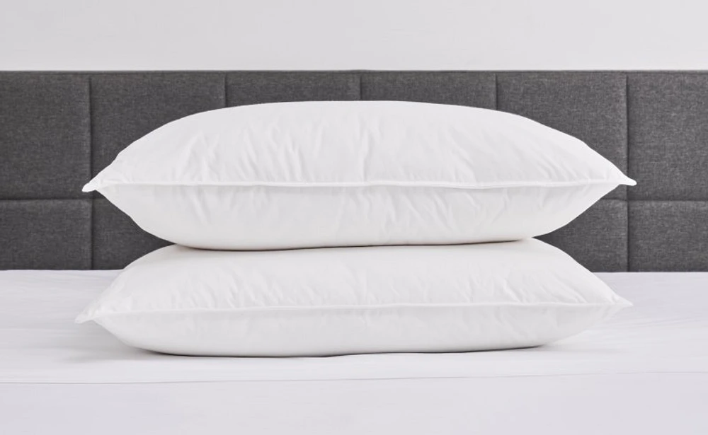 Summit Down Surround Pillow - Regular - White - set of Two