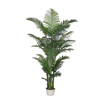 Areca Palm - 90"
