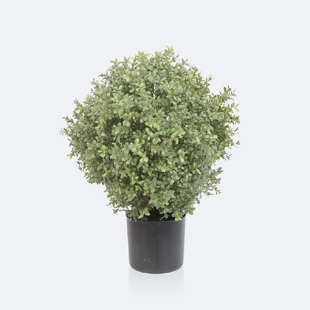 Faux Boxwood Topiary - 60cm
