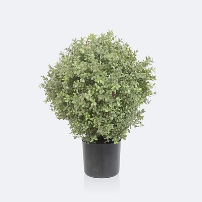 Faux Boxwood Topiary - 60cm