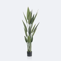 Faux Canna Plant