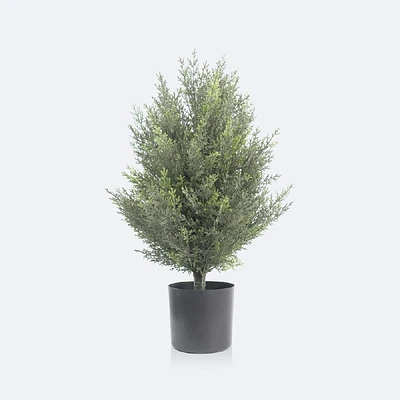 Faux Cedar Bush - 60cm