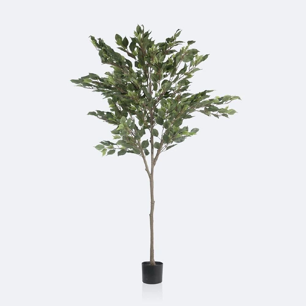 Faux Ficus Tree