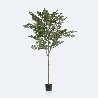 Faux Ficus Tree