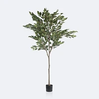 Faux Ficus Tree