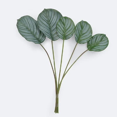 Green Leaves x 6
