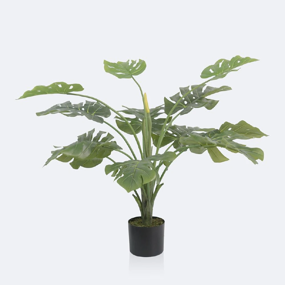 Faux Monstera Plant