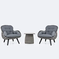 Palm Wicker Set