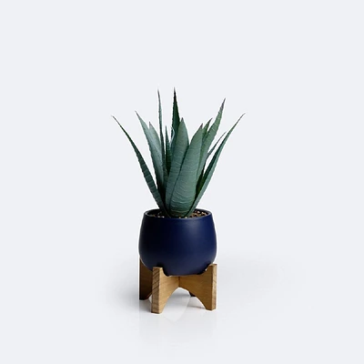 Aloe Plant on Stand