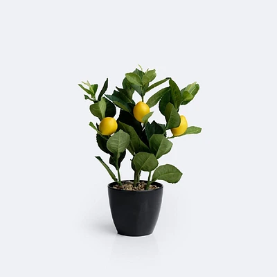 Lemon Tree