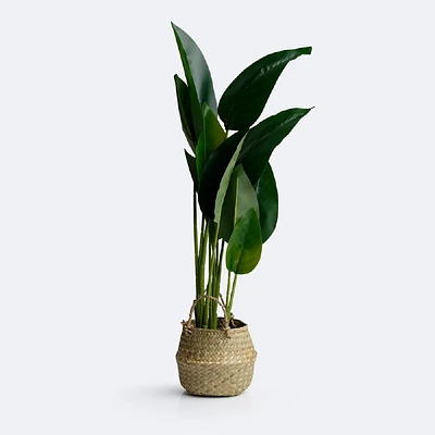 Tree with Wicker Basket