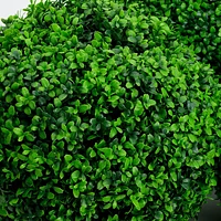 11" Boxwood Ball