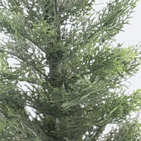 Faux Cedar Bush - 60cm