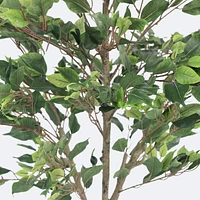 Faux Ficus Tree