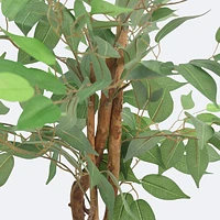 Faux Ficus Tree - 3 Trunks