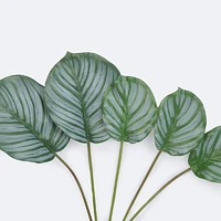 Green Leaves x 6