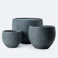 Zinnia Planter