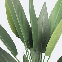 Faux Canna Plant