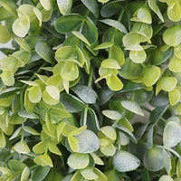 Eucalyptus Wreath