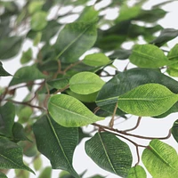Faux Ficus Tree