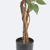 Faux Ficus Tree - 3 Trunks