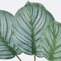 Green Leaves x 6