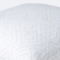 20"x20" Throw Pillow - Dream Snow