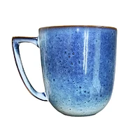 Iris 16-Piece Dinnerware Set