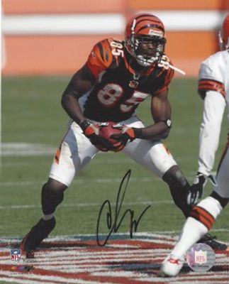 CHAD JOHNSON AUTOGRAPHED HAND SIGNED BENGALS 8X10 PHOTO